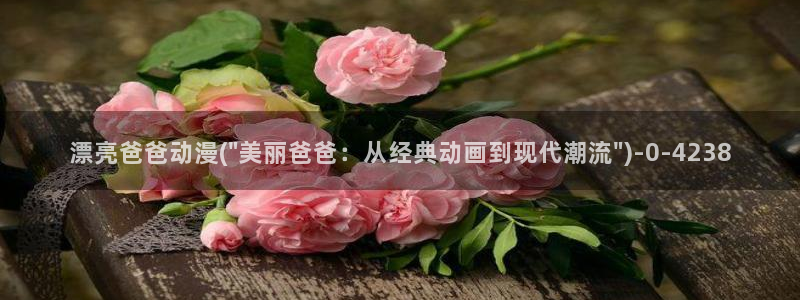 风车动漫