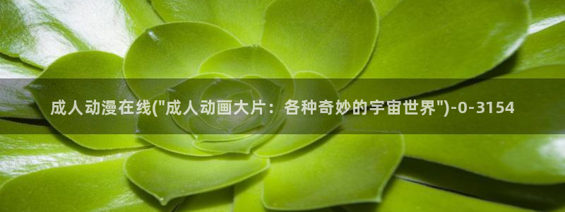 日常动漫