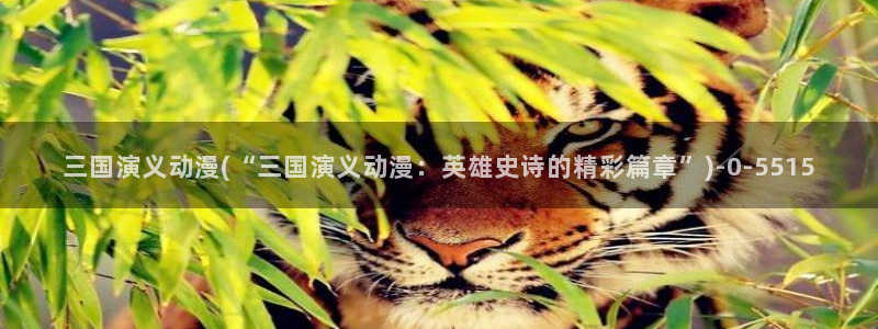 动漫二次元