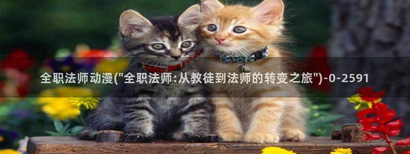 动漫之家