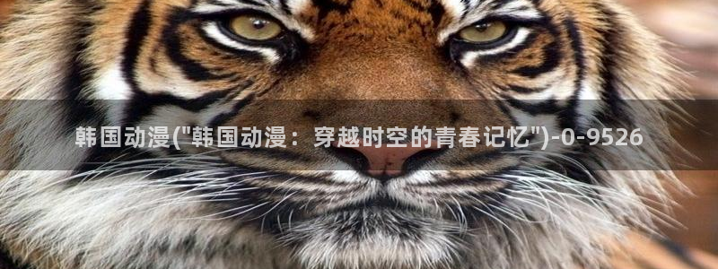 动漫之家